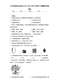 辽宁省沈阳市法库县2021-2022学年八年级下学期期中生物试题(含答案)