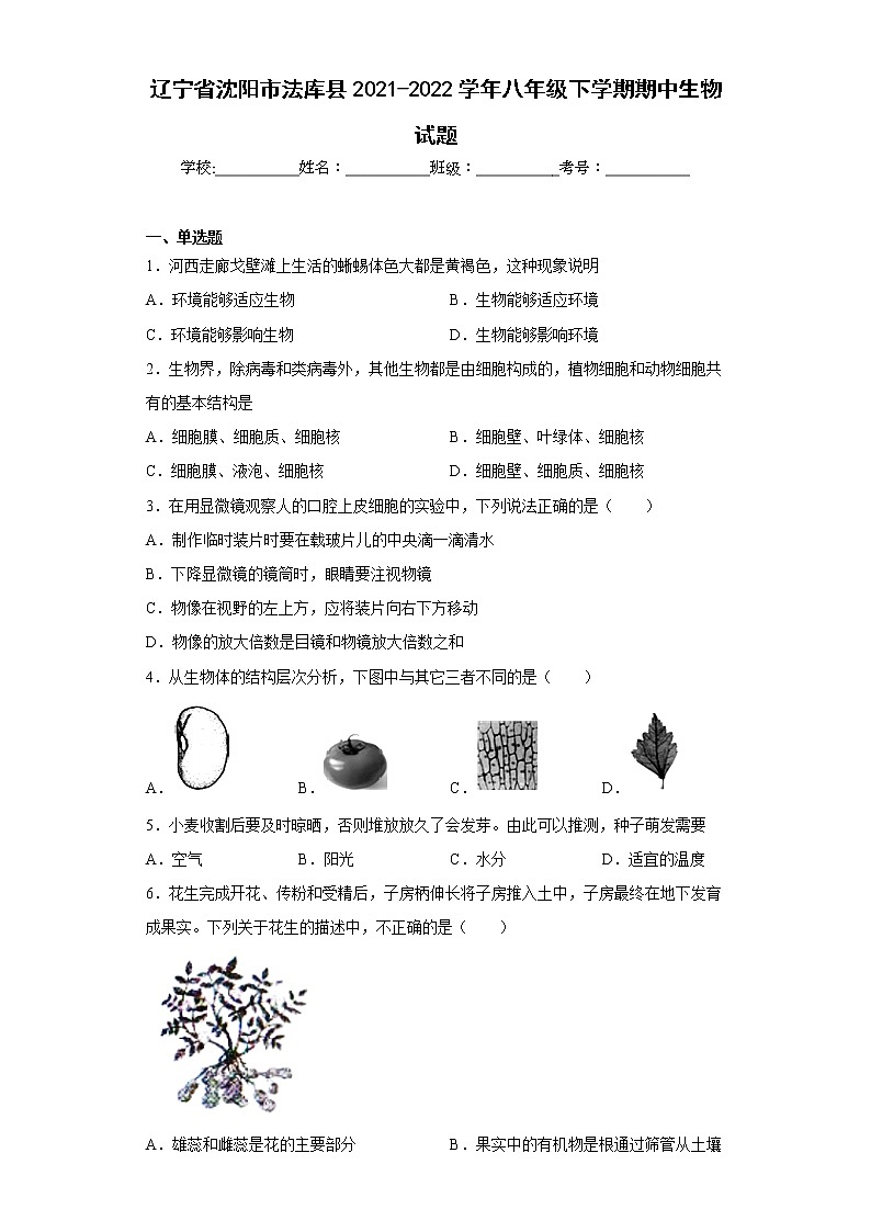 辽宁省沈阳市法库县2021-2022学年八年级下学期期中生物试题(含答案)第1页