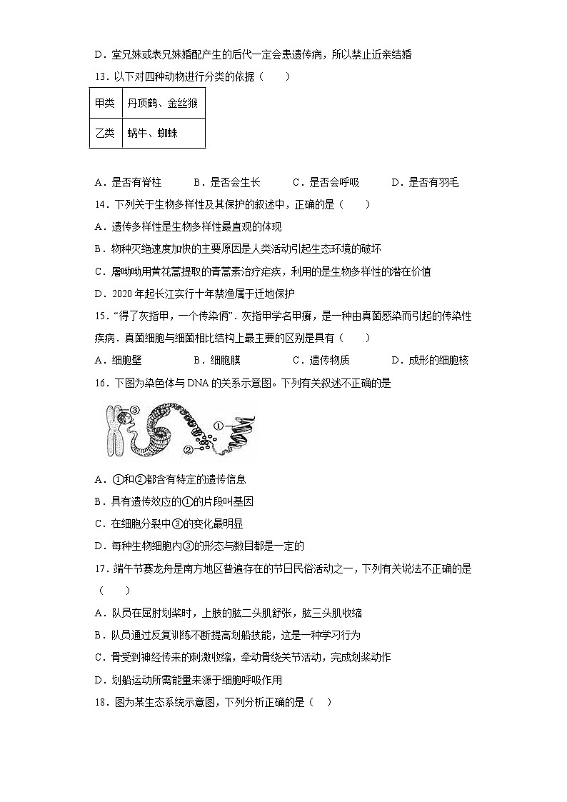 辽宁省沈阳市法库县2021-2022学年八年级下学期期中生物试题(含答案)第3页