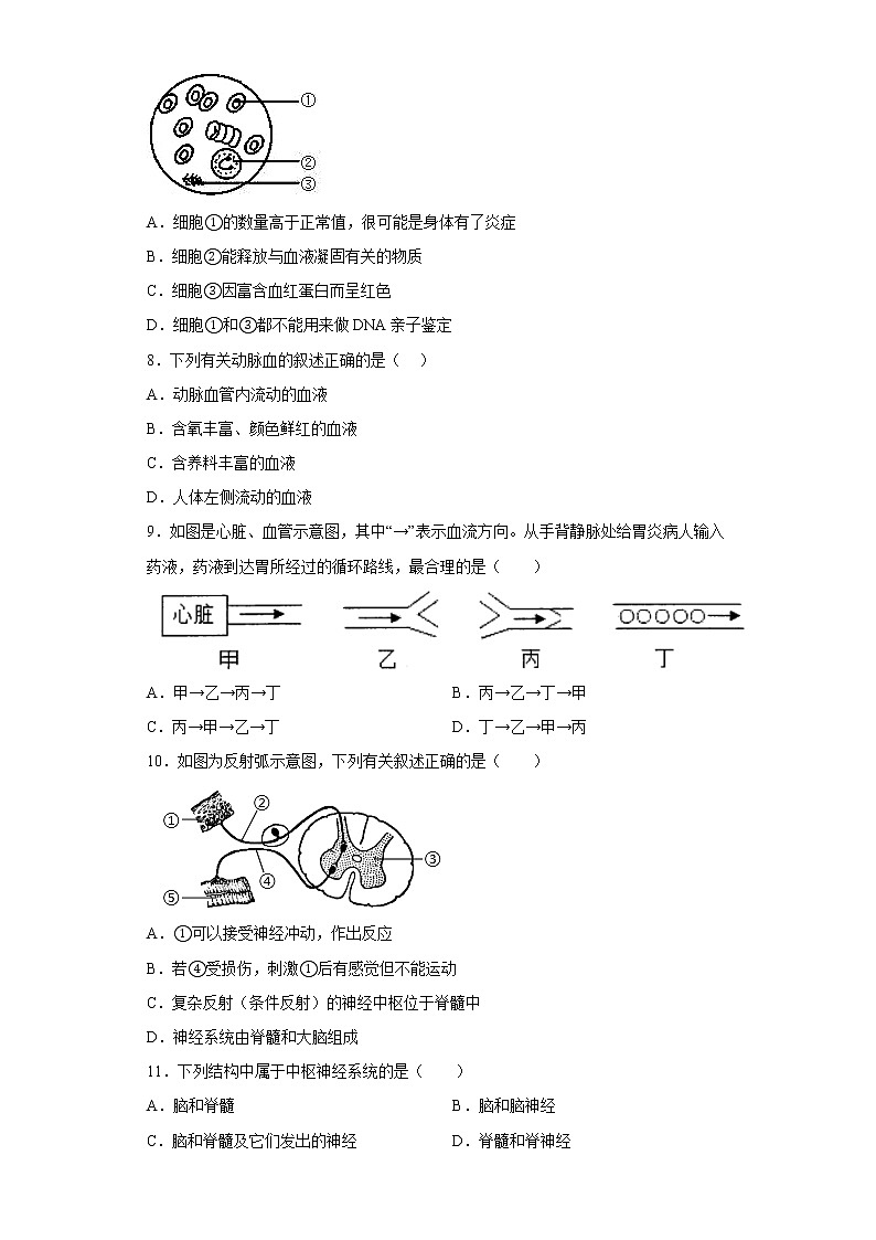 辽宁省营口市大石桥市石佛中学等五校2021-2022学年七年级下学期期末生物试题(含答案)02