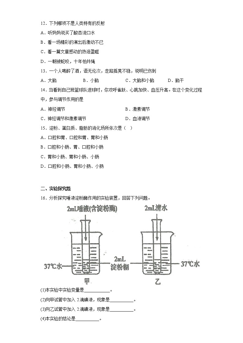 辽宁省营口市大石桥市石佛中学等五校2021-2022学年七年级下学期期末生物试题(含答案)03