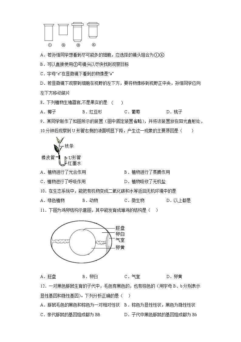 2022年广东省深圳市初中学业水平考试模拟冲刺卷生物试题（二）(含答案)第2页