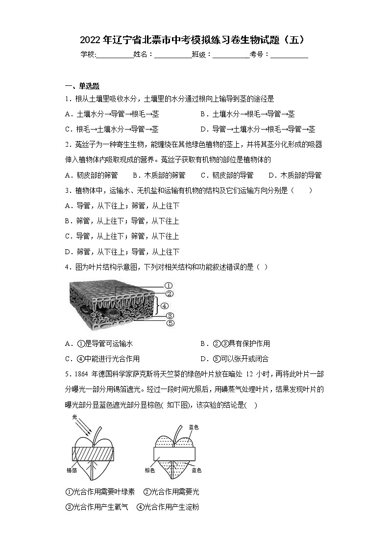 2022年辽宁省北票市中考模拟练习卷生物试题（五）(含答案)01