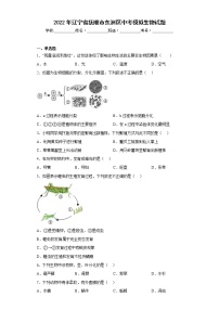 2022年辽宁省抚顺市东洲区中考模拟生物试题(含答案)