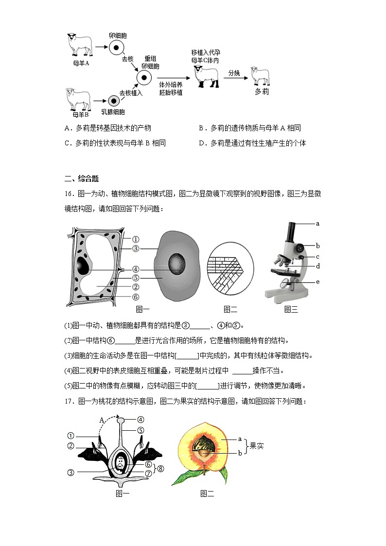 2022年辽宁省抚顺市东洲区中考模拟生物试题(含答案)第3页