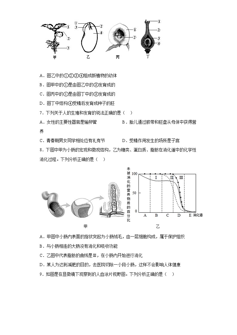 2022年辽宁省沈阳市沈北新区八年级中考二模生物试题(含答案)第2页