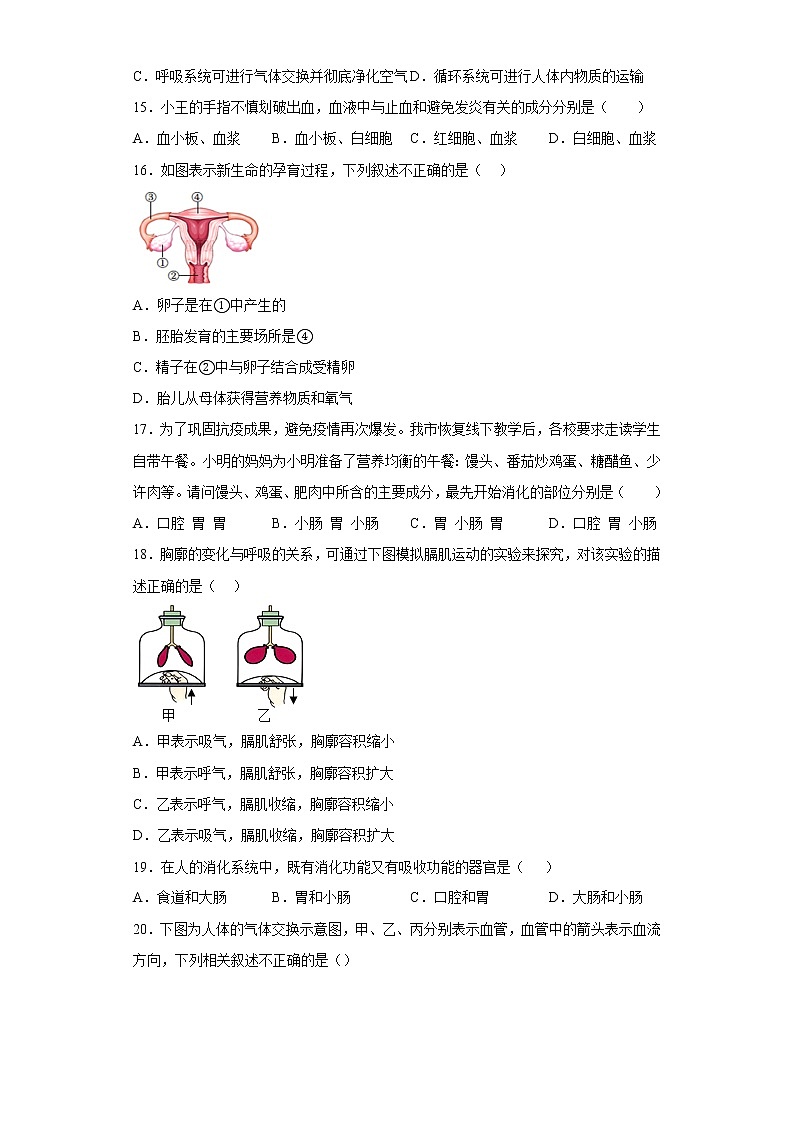辽宁省阜新市蒙古族自治县蒙古族初级中学2021-2022学年七年级下学期期中生物试题(含答案)03