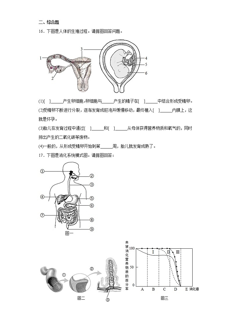 辽宁省锦州市凌海市2021-2022学年七年级下学期期中生物试题(含答案)第3页