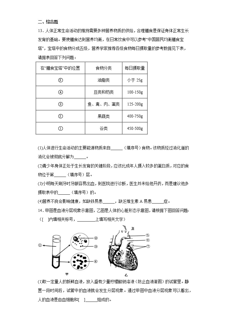 辽宁省沈阳市虹桥初级中学2021-2022学年七年级下学期期中生物试题(含答案)03