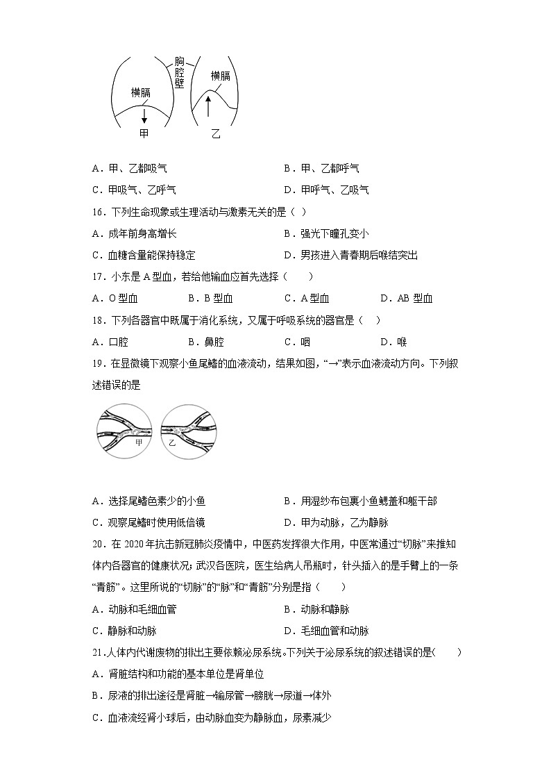 新疆塔城地区沙湾市2021-2022学年七年级下学期期末生物试题(含答案)03