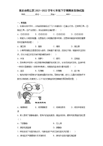 重庆市黔江区2021-2022学年七年级下学期期末生物试题-(含答案)