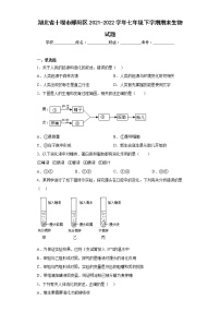 湖北省十堰市郧阳区2021-2022学年七年级下学期期末生物试题(含答案)