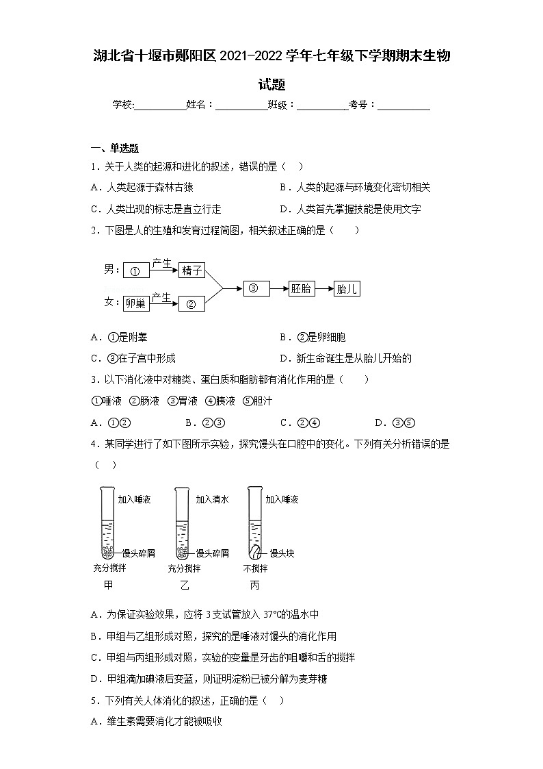 湖北省十堰市郧阳区2021-2022学年七年级下学期期末生物试题(含答案)第1页