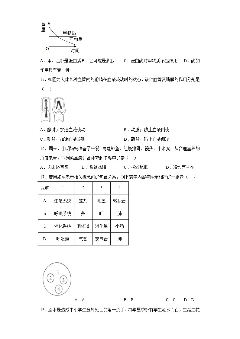 辽宁省葫芦岛市连山区2021-2022学年七年级下学期期中生物试题(含答案)第3页