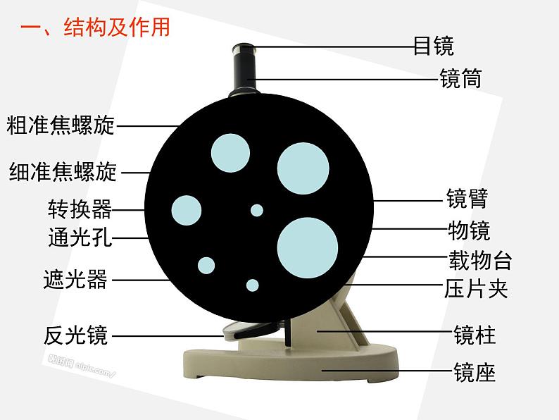 2.1.1练习使用显微镜课件04