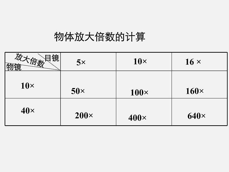 2.1.1练习使用显微镜课件06