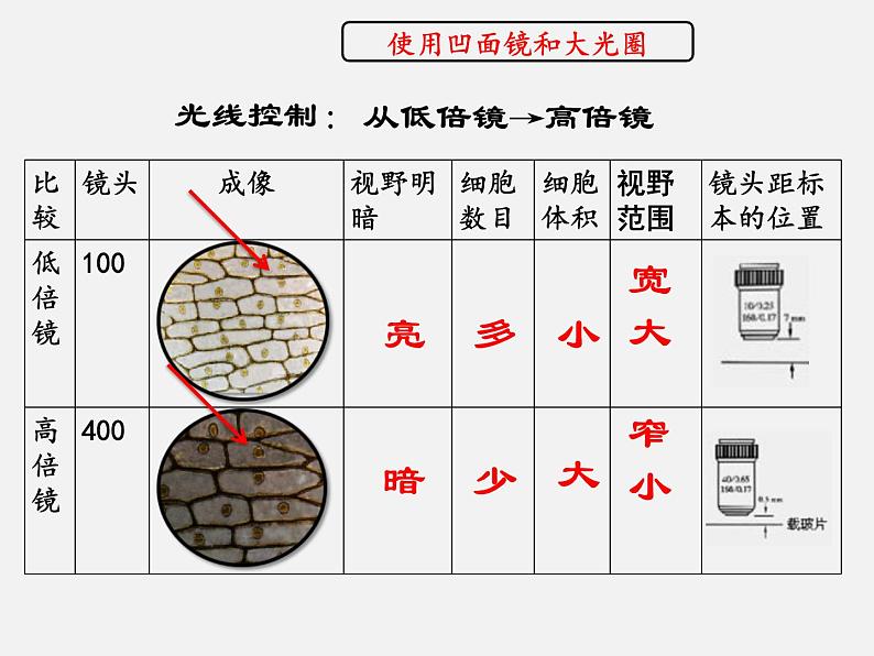 2.1.1练习使用显微镜课件07