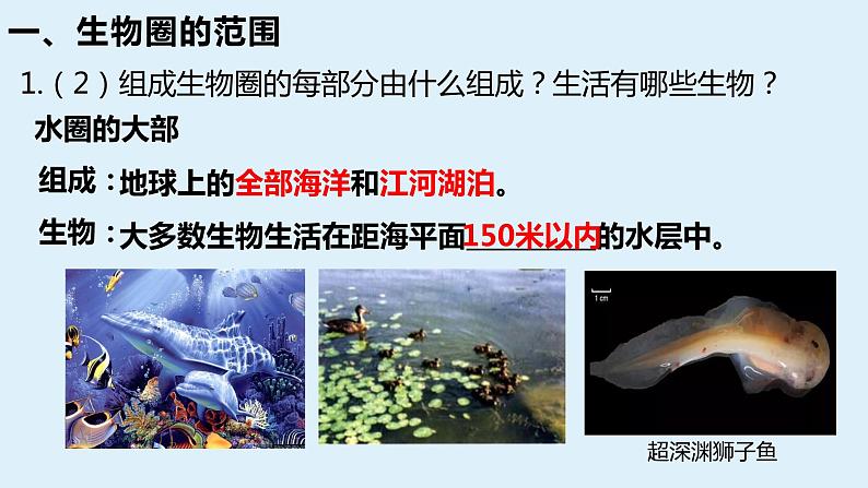 人教版七年级2.3生物圈是最大的生态系统课件第8页