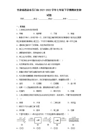 甘肃省酒泉市玉门市2021-2022学年七年级下学期期末生物试题(含答案)