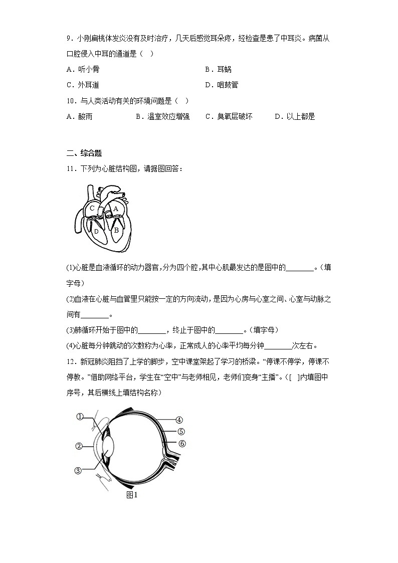 甘肃省酒泉市玉门市2021-2022学年七年级下学期期末生物试题(含答案)第2页