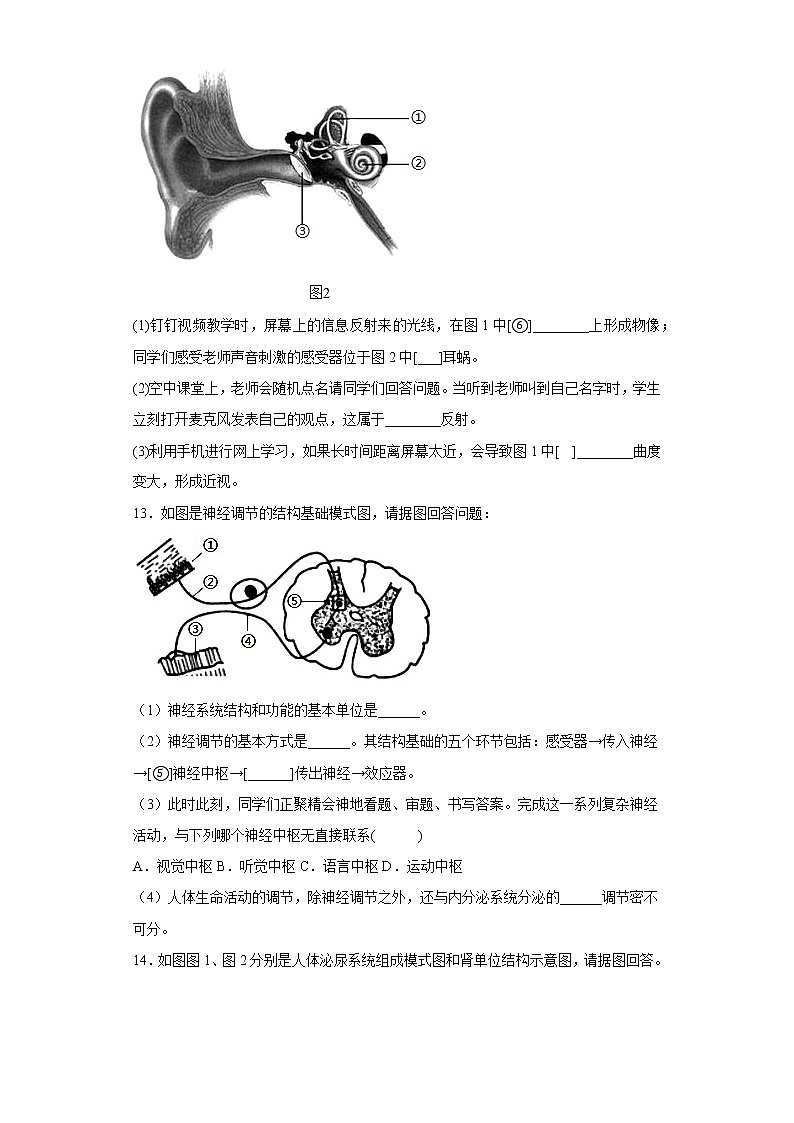 甘肃省酒泉市玉门市2021-2022学年七年级下学期期末生物试题(含答案)第3页