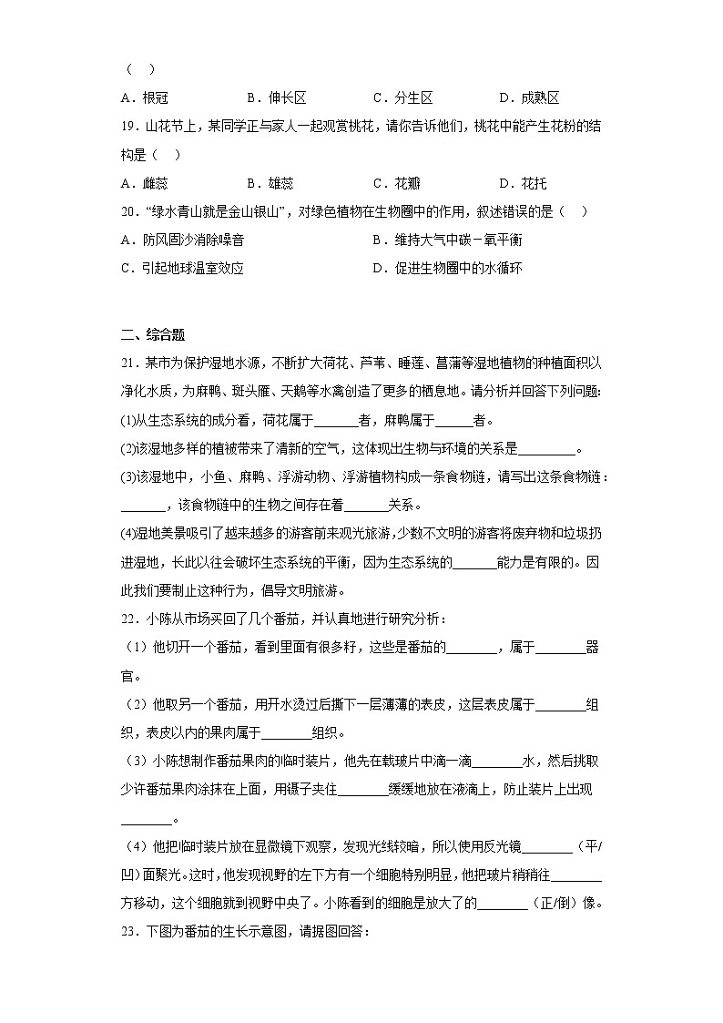 吉林省吉林市舒兰市2021-2022学年七年级上学期期末生物试题(含答案)第3页