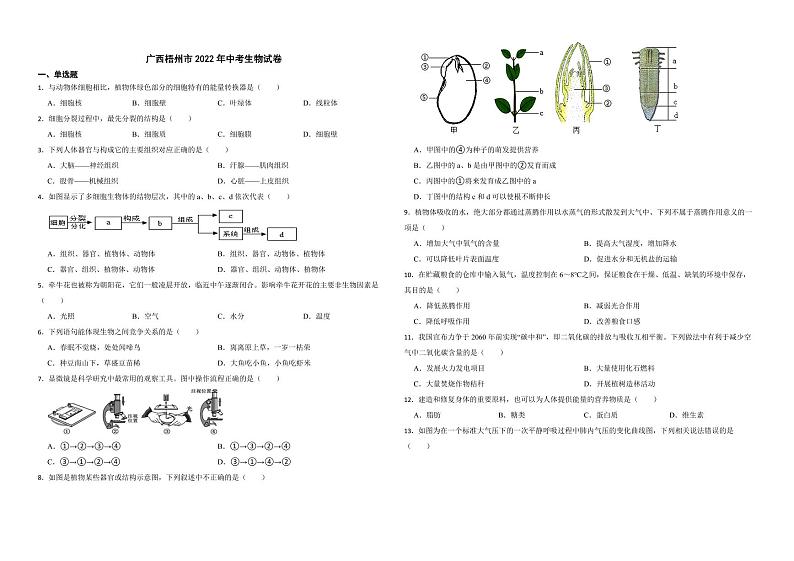 广西梧州市2022年中考生物试卷（附解析）01