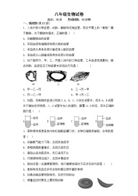 江苏省连云港市灌南县扬州路实验中学2022-2023学年八年级上学期月考生物试题（含答案）