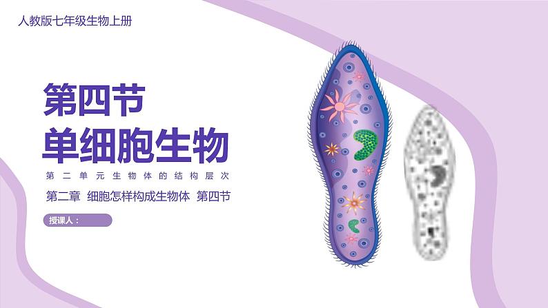 初中生物人教版七年级上册《单细胞生物》教育教学课件01