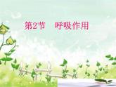 北師大版七年級(jí)生物上冊(cè)第5章第2節(jié)呼吸作用教學(xué)課件