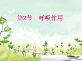 北师大版七年级生物上册第5章第2节呼吸作用教学课件