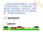 北師大版七年級(jí)生物上冊(cè)第5章第2節(jié)呼吸作用教學(xué)課件
