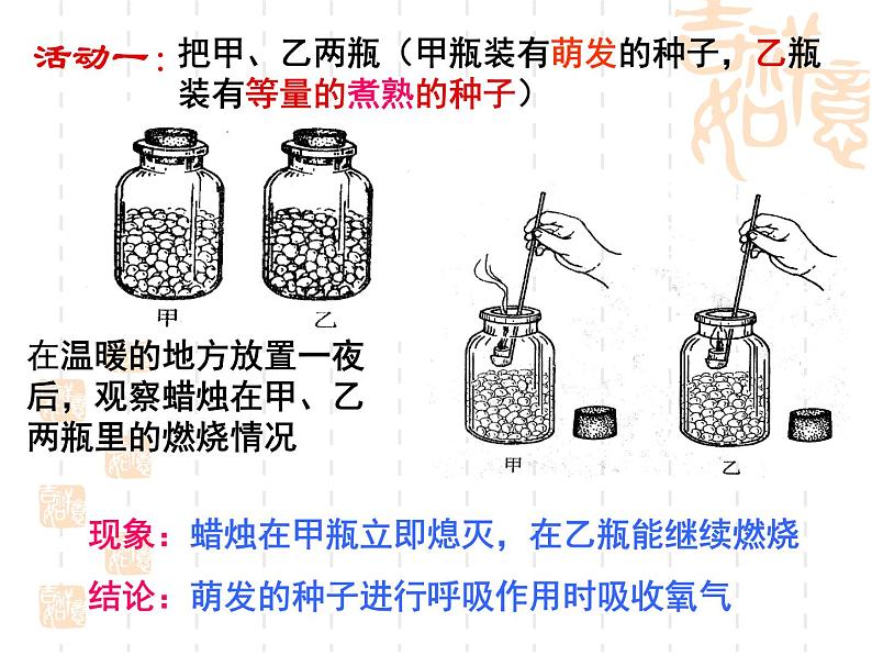 北师大版七年级生物上册第5章第2节呼吸作用教学课件第5页