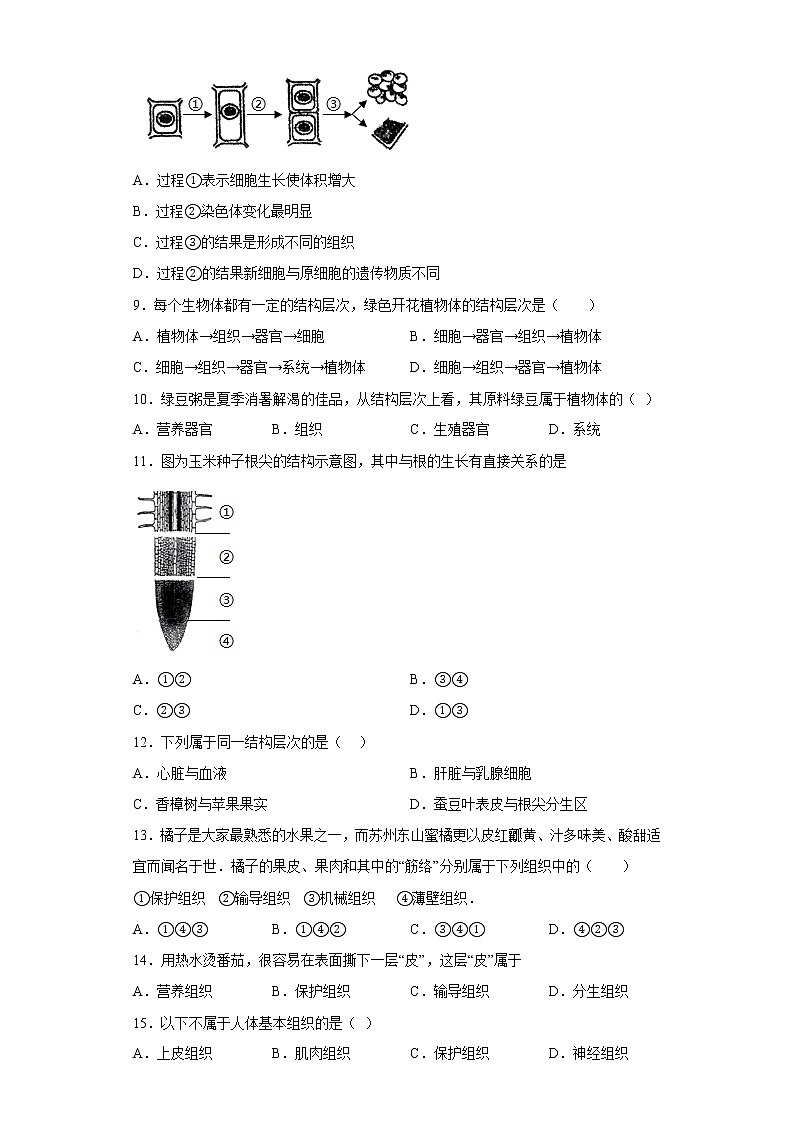 江苏省宿迁地区2021-2022学年七年级下学期期中生物试题(含答案)02