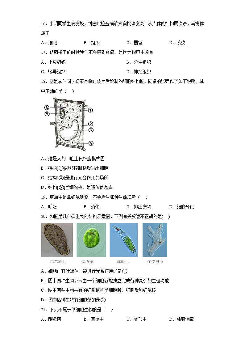 江苏省宿迁地区2021-2022学年七年级下学期期中生物试题(含答案)03