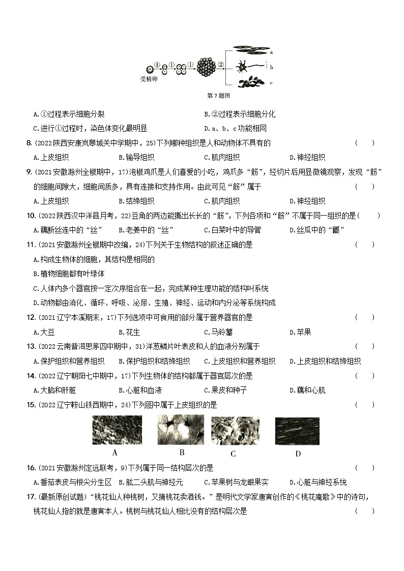 第二单元第二章素养提优测试···七年级生物上册期中期末考前复习自测卷第2页