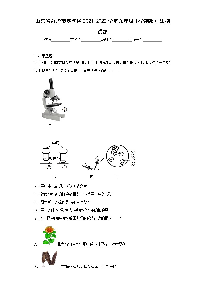 山东省菏泽市定陶区2021-2022学年九年级下学期期中生物试题(含答案)01