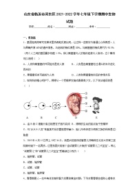 山东省临沂市河东区2021-2022学年七年级下学期期中生物试题(含答案)