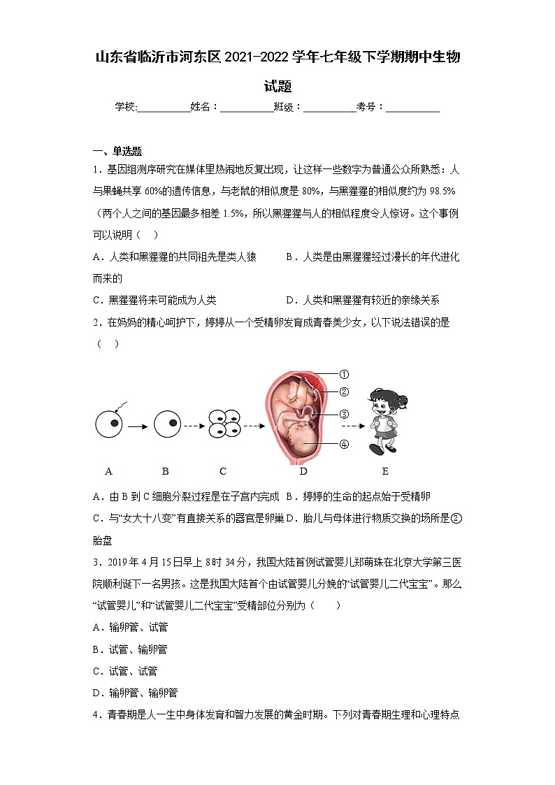 山东省临沂市河东区2021-2022学年七年级下学期期中生物试题(含答案)第1页