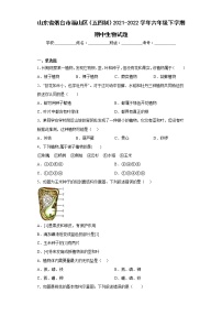 山东省烟台市福山区（五四制）2021-2022学年六年级下学期期中生物试题(含答案)