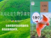 1.1.1生物的特征课件2022--2023学年人教版生物七年级上册 (2)