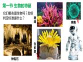 1.1.1生物的特征课件2022--2023学年人教版生物七年级上册 (2)