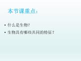 1.1.1生物的特征课件2022--2023学年人教版生物七年级上册