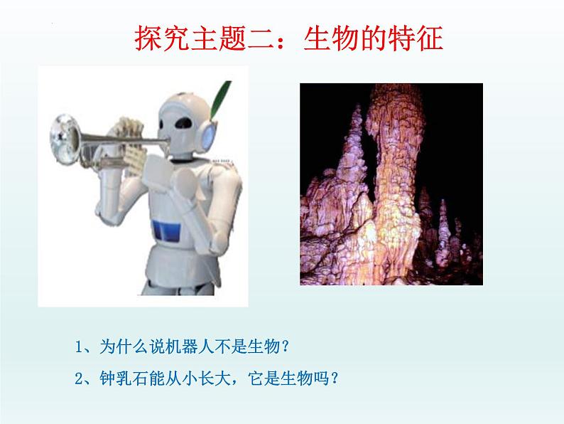 1.1.1生物的特征课件2022--2023学年人教版生物七年级上册07