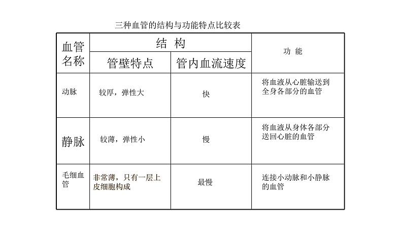 10.2人体内的血液循环苏教版生物学七年级下册课件第5页