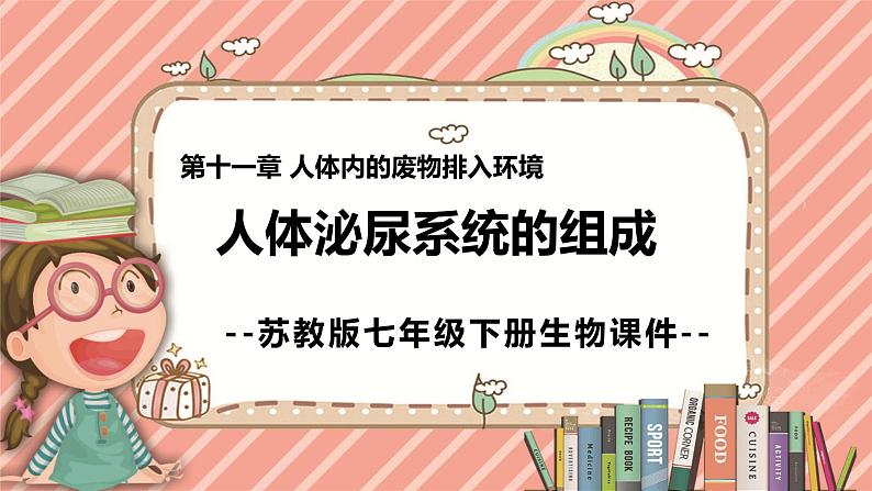 11.1人体泌尿系统的组成苏教版生物学七年级下册课件01