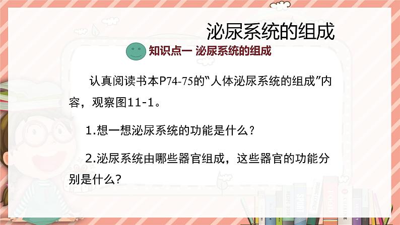 11.1人体泌尿系统的组成苏教版生物学七年级下册课件06