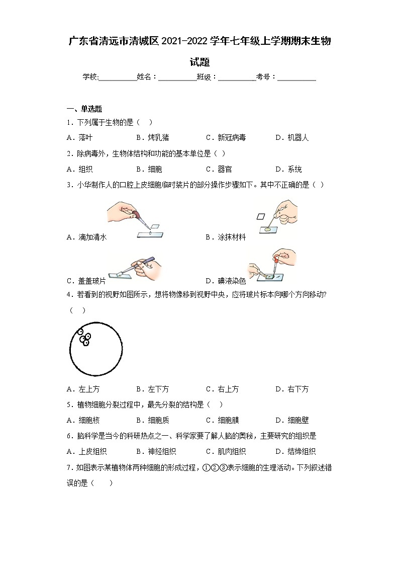 广东省清远市清城区2021-2022学年七年级上学期期末生物试题(含答案)第1页