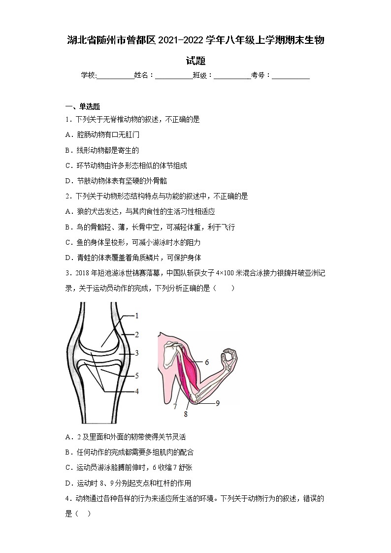 湖北省随州市曾都区2021-2022学年八年级上学期期末生物试题(含答案)第1页