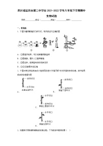 四川省宜宾市第二中学校2021-2022学年八年级下学期期中生物试题(含答案)